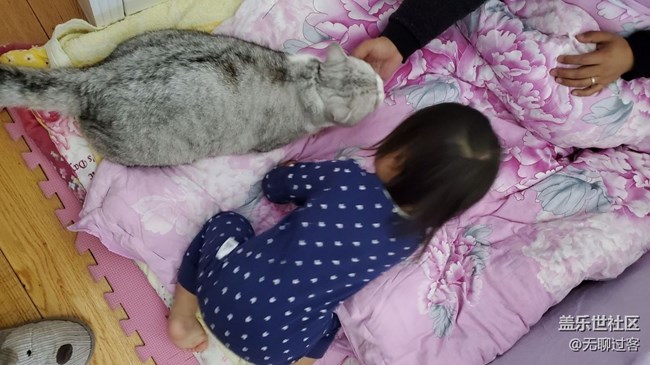 有寵物陪伴的孩子是幸福的