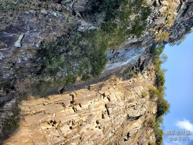 【歡度春節(jié)】