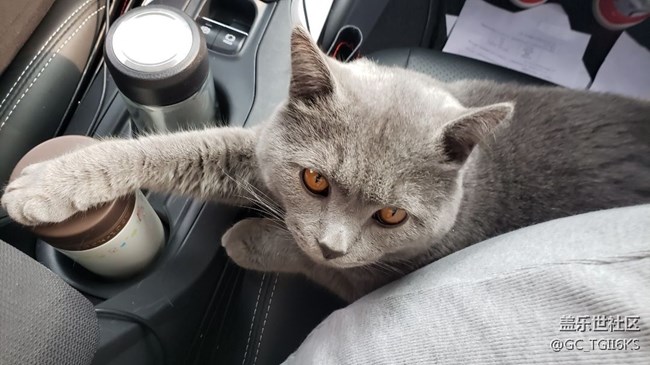 note9什么時間升級安卓11