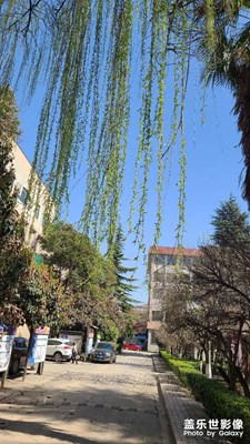 我愛我的城