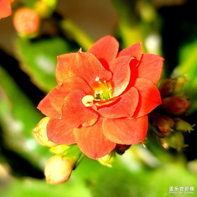 春暖花開