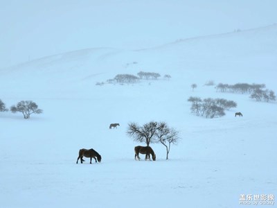牧馬圖