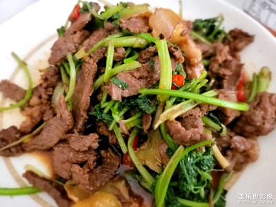 拍美食無敵