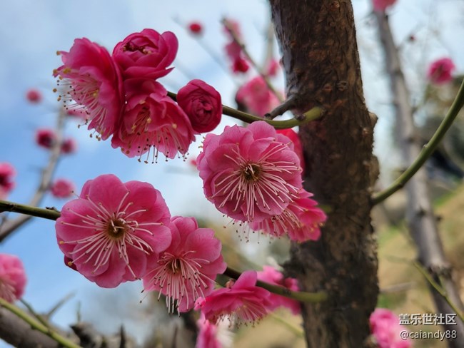 S21+ 5G 評測，屏大邊窄，兼顧手感與續(xù)航的旗艦