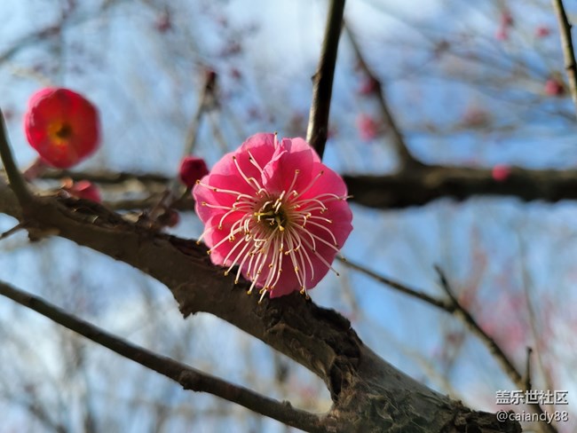 S21+ 5G 評測，屏大邊窄，兼顧手感與續(xù)航的旗艦