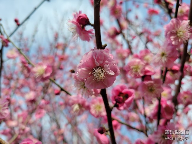 S21+ 5G 評測，屏大邊窄，兼顧手感與續(xù)航的旗艦