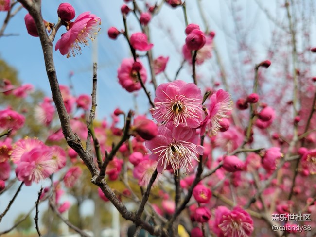 S21+ 5G 評測，屏大邊窄，兼顧手感與續(xù)航的旗艦