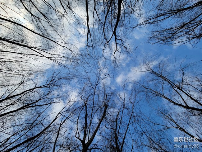 S21+ 5G 評測，屏大邊窄，兼顧手感與續(xù)航的旗艦