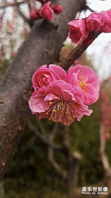 隨手拍