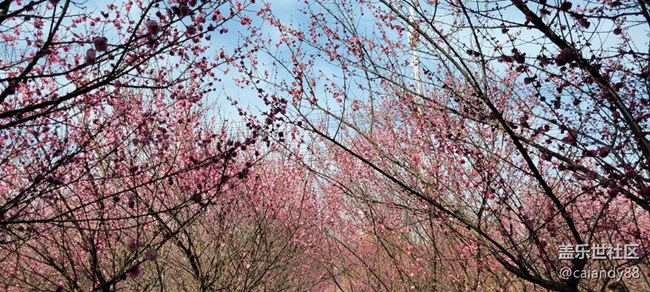 S21+ 5G 評測，屏大邊窄，兼顧手感與續(xù)航的旗艦