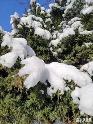 牛年第二場(chǎng)雪