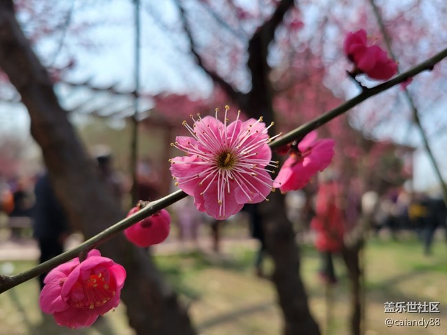 S21+ 5G 評測，屏大邊窄，兼顧手感與續(xù)航的旗艦