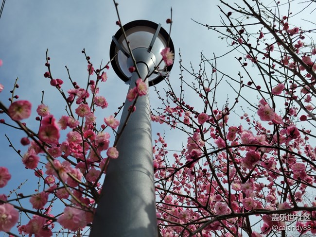 S21+ 5G 評測，屏大邊窄，兼顧手感與續(xù)航的旗艦