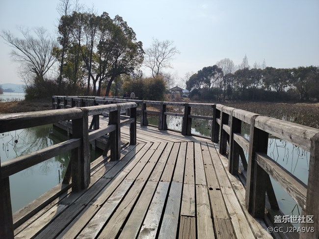 分享幾張三星s21u室外親手隨拍照片