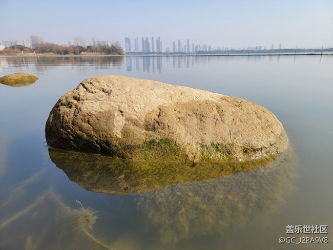 分享幾張三星s21u室外親手隨拍照片