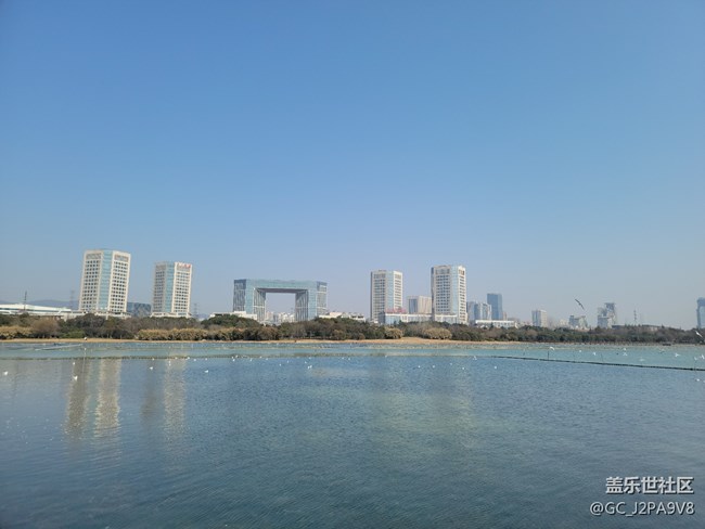 分享幾張三星s21u室外親手隨拍照片