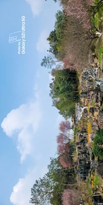 【天空的色彩】+驚蟄時節(jié)