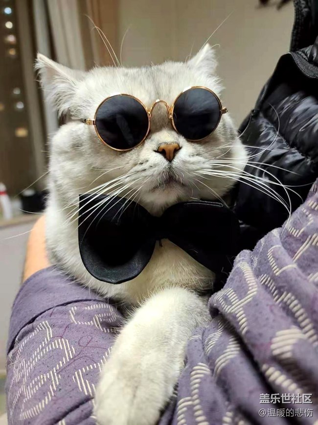 已開獎【寵物3月第二期】你愿為家里的寵物花費多少？