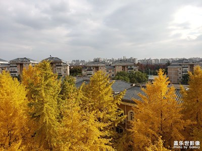 小區(qū)的河邊