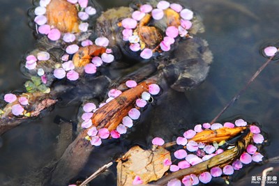 【光影魅力】+漾彩