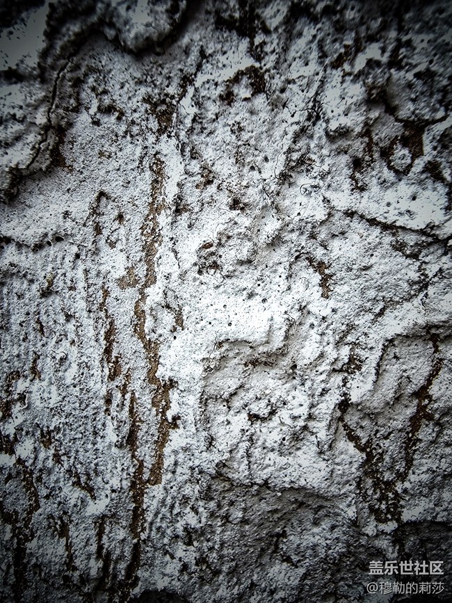 【微距之下-藏著宇宙】Galaxy S21 Ultra 5G創(chuàng)意微距體驗(yàn)