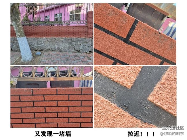 【微距之下-藏著宇宙】Galaxy S21 Ultra 5G創(chuàng)意微距體驗(yàn)