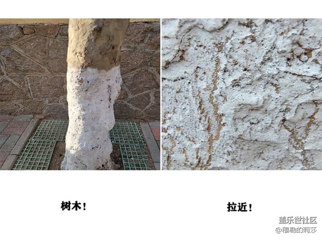 【微距之下-藏著宇宙】Galaxy S21 Ultra 5G創(chuàng)意微距體驗(yàn)