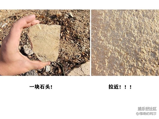 【微距之下-藏著宇宙】Galaxy S21 Ultra 5G創(chuàng)意微距體驗(yàn)