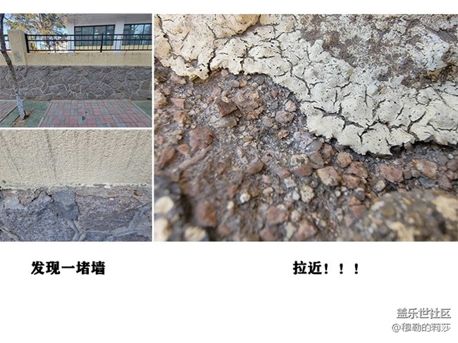 【微距之下-藏著宇宙】Galaxy S21 Ultra 5G創(chuàng)意微距體驗(yàn)