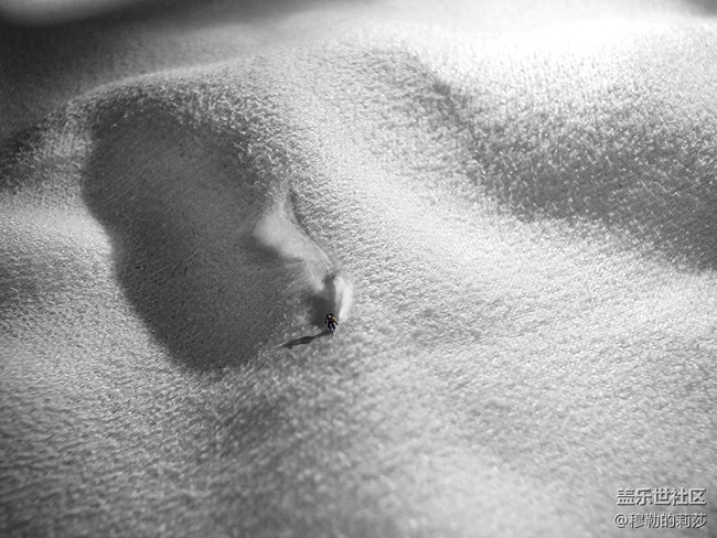 【微距之下-藏著宇宙】Galaxy S21 Ultra 5G創(chuàng)意微距體驗(yàn)