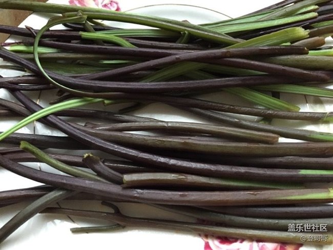 【春菜秀】蕨菜炒臘肉