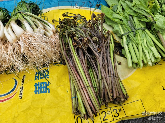 【春菜秀】蕨菜炒臘肉