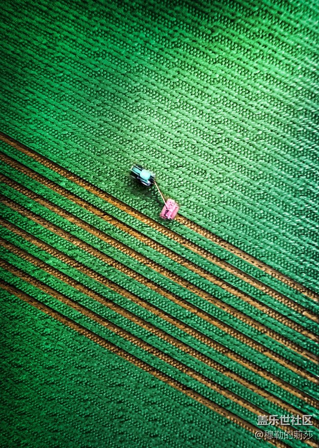 【微距之下-藏著宇宙】Galaxy S21 Ultra 5G創(chuàng)意微距體驗(yàn)