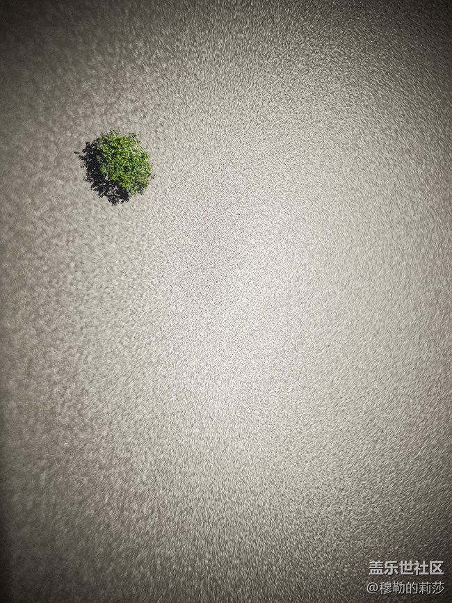 【微距之下-藏著宇宙】Galaxy S21 Ultra 5G創(chuàng)意微距體驗(yàn)