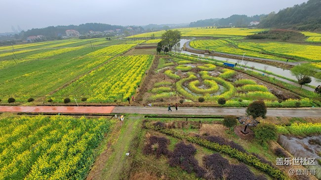 【春菜秀】蕨菜炒臘肉