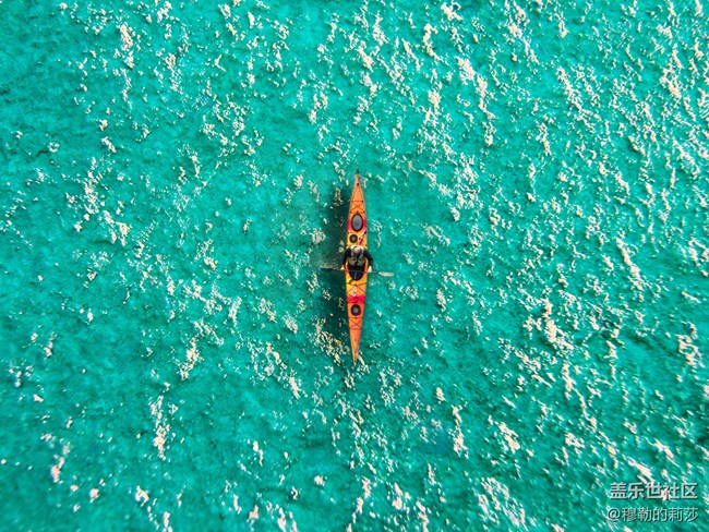 【微距之下-藏著宇宙】Galaxy S21 Ultra 5G創(chuàng)意微距體驗(yàn)