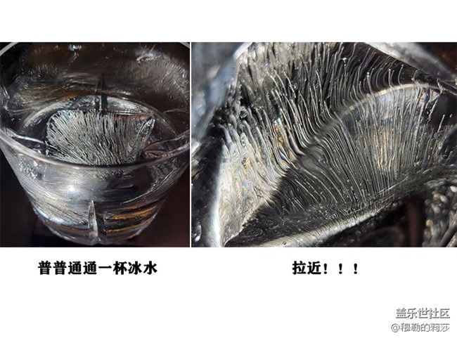 【微距之下-藏著宇宙】Galaxy S21 Ultra 5G創(chuàng)意微距體驗(yàn)