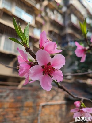 我愛我的城
