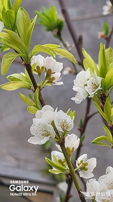 大涼山風(fēng)光