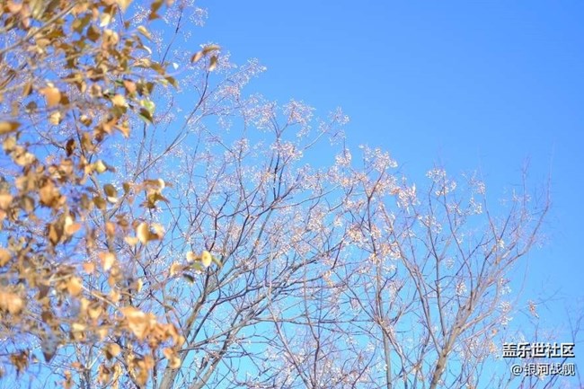 已開獎(jiǎng)【3月運(yùn)動(dòng)第三期】-說說如何科學(xué)的減肥