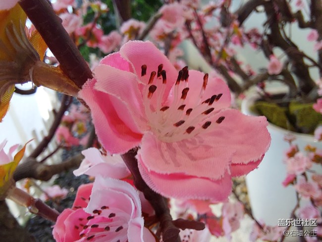 優(yōu)雅張揚 驚喜不斷 三星Galaxy A52 5G評測 優(yōu)雅張揚 驚喜不斷 三星Galaxy A52 5G評測