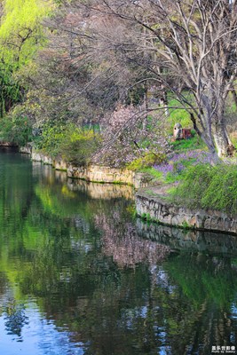 【周末拍點(diǎn)啥】+校園春色