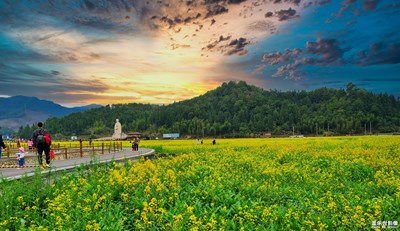 城南花開燕歸來