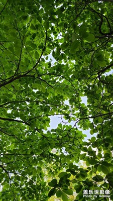 今日春分