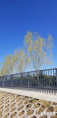 【周末拍點(diǎn)啥】隨手拍