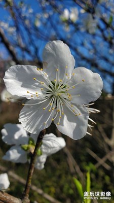 3.0的系統(tǒng)，踏青隨拍！
