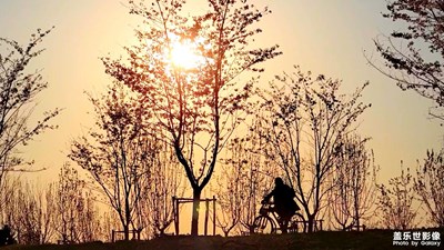 時(shí)光