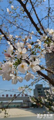 春暖花開