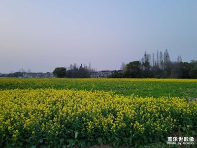 S21U隨拍