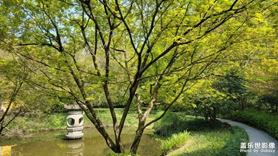 為春天喝彩